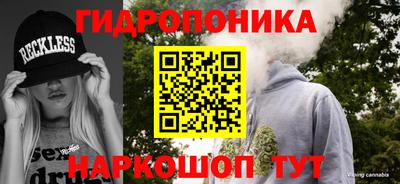 PSILOCYBIN Новодвинск